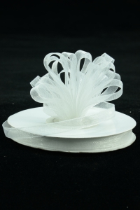 Organza Ribbon , White, 3/8 Inch x 25 Yards (1 Spool) SALE ITEM